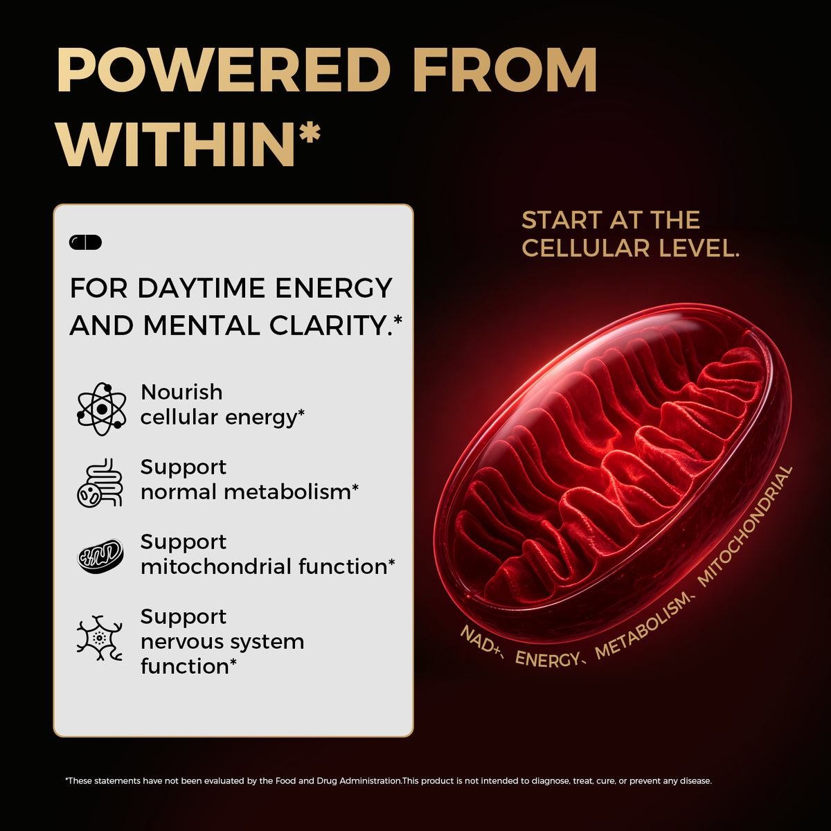 NutriLake® NAD+ FOR WOMEN: Cellular Renewal & Radiance Support